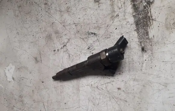 Mitsubishi Space Star Fuel injector 0445110021