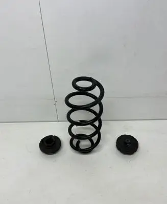 Rear coil spring