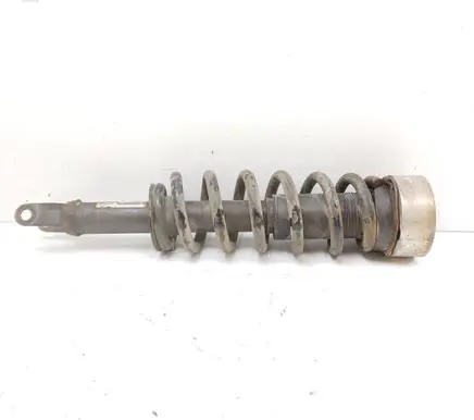 Dodge RAM 1500 DS Front shock absorber with coil spring 52853469AD 1A14129A