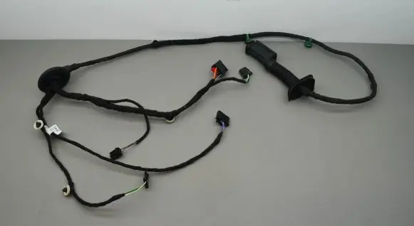 Rear door wiring loom