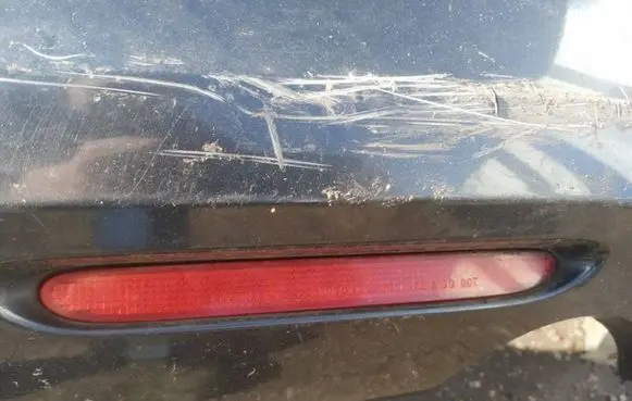 Honda Accord Rear tail light reflector 