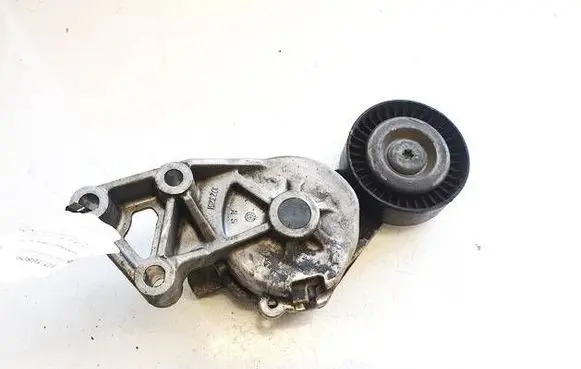 Volkswagen Bora Generator/alternator belt tensioner 1023251 0372