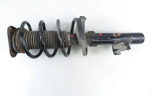 Ford Focus C-MAX Front shock absorber with coil spring