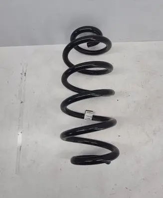 Rear coil spring