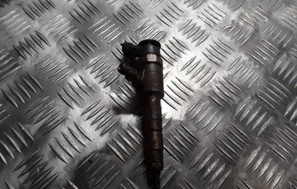 Citroen C3 Picasso Fuel injector 0445110340