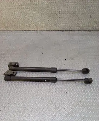 Front bonnet/hood damper/strut