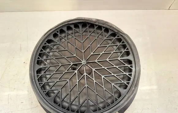 Front door speaker