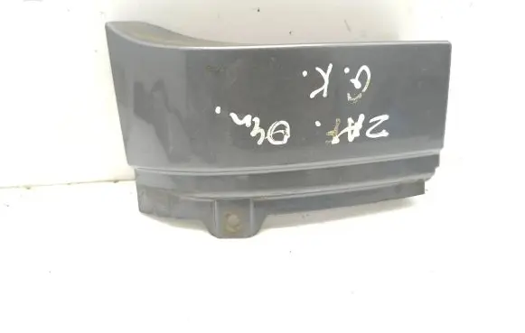 Rear/tail light trim molding