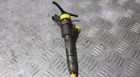 Renault Megane II Fuel injector 