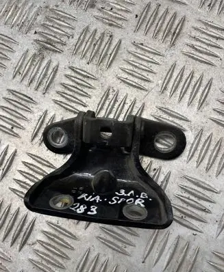 KIA Sportage Rear door upper hinge 