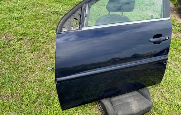Opel Signum Front door Z21A