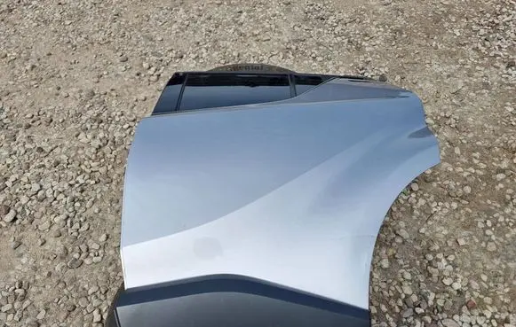 Toyota C-HR I Rear door