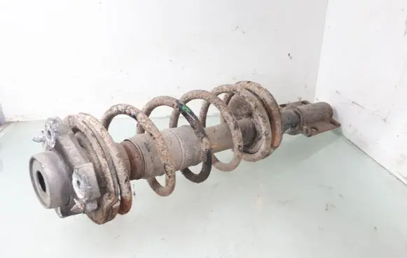 Fiat Ducato Front shock absorber with coil spring