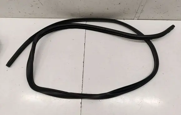 Nissan Juke II F16 Rear door rubber seal (on body) 