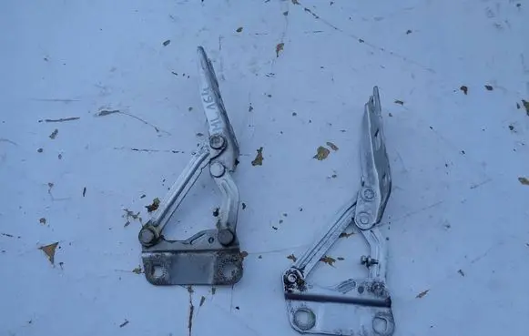 Engine bonnet/hood hinges