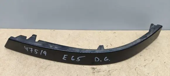 Rear/tail light trim molding