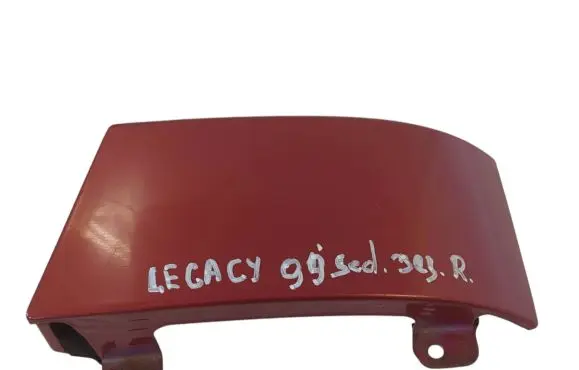 Rear/tail light trim molding