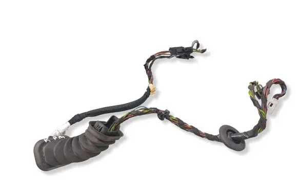 Mercedes-Benz B W246 W242 Front door wiring loom A2465409807