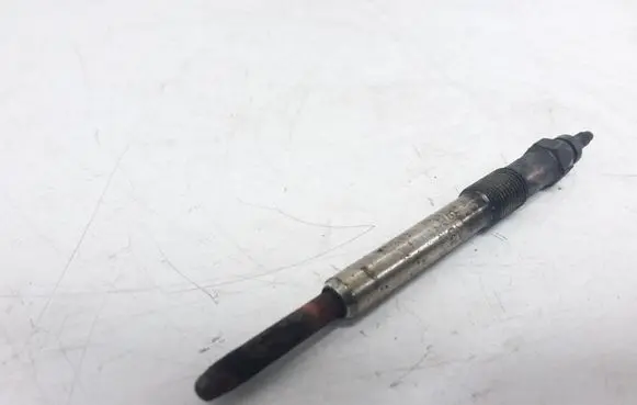Peugeot 407 Glow plug 0250202048