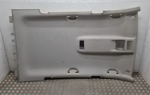 Skoda Octavia Mk2 (1Z) Headlining 1Z9867501