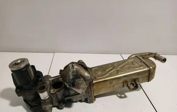 Volkswagen PASSAT B7 EGR valve 0280751016