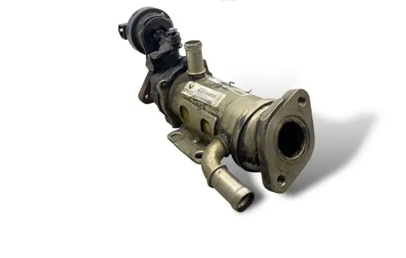Renault Laguna III EGR valve cooler H8200340616 876481V