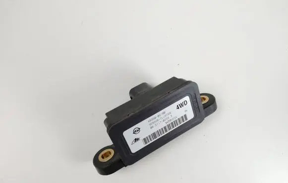 SsangYong Rexton I Sensor 4896009100