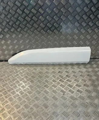 Front door trim (molding)