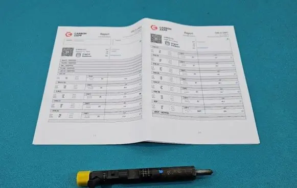 Renault Megane II Fuel injector EJBR04101D IMPRK1439351