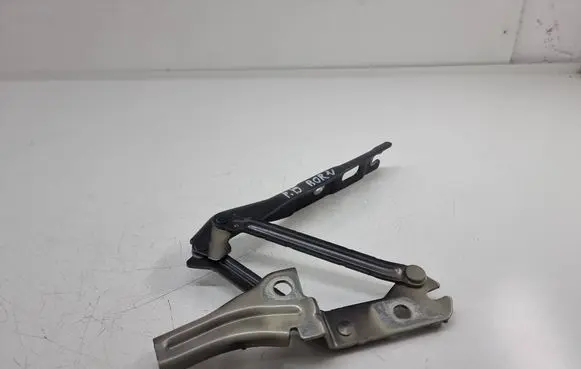 Cupra Born Engine bonnet/hood hinges 10a823302a