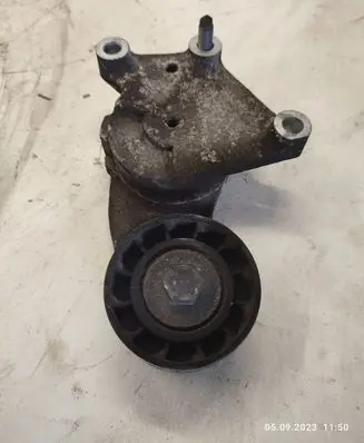 Citroen C3 Generator/alternator belt tensioner 846143