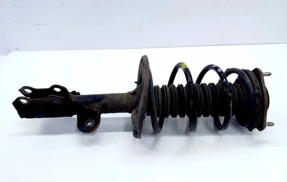 Toyota RAV 4 (XA40) Front shock absorber/damper 4851042660