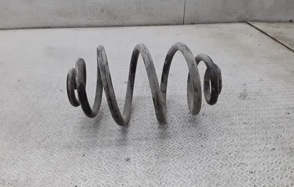 Volkswagen PASSAT B5.5 Rear coil spring
