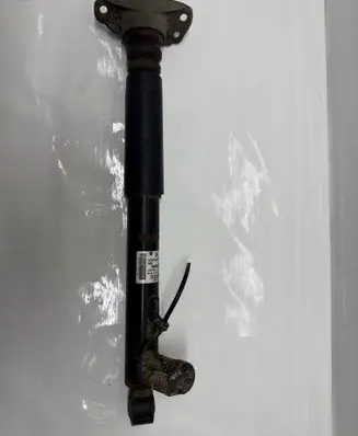 Volkswagen PASSAT CC Rear shock absorber/damper 3C0513046D E4301202 C002167