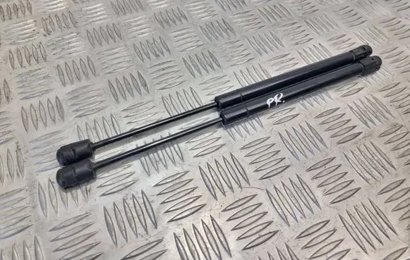 Front bonnet/hood damper/strut