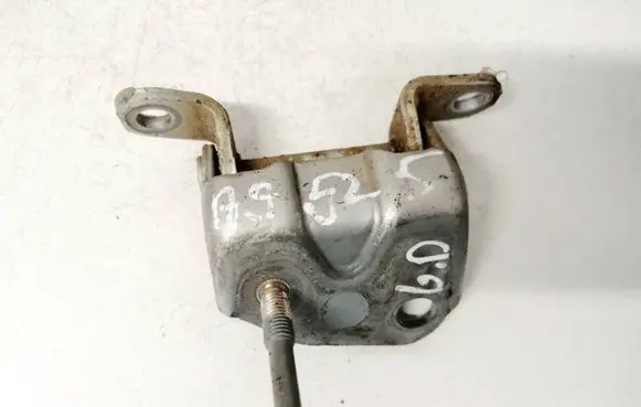 Rear door lower hinge