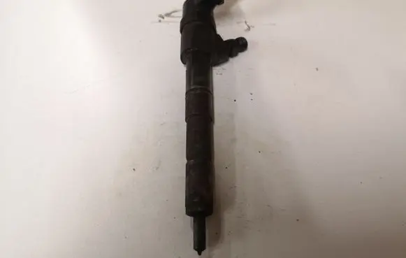 Opel Vectra C Fuel injector 0445110243
