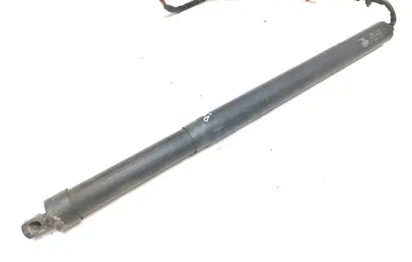 Tailgate strut