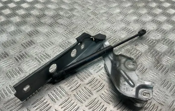 Engine bonnet/hood hinges