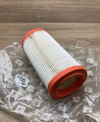 Peugeot 309 Air filter 1444VE