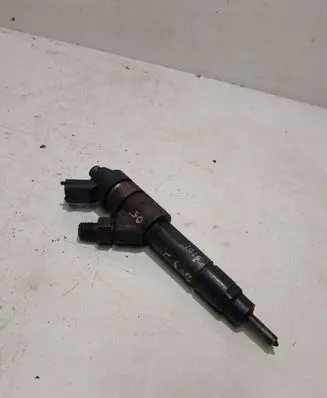 Peugeot Boxer Fuel injector 500384284 0445120
