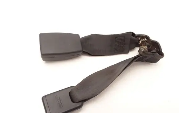 Hyundai Grandeur Rear seatbelt buckle 050715