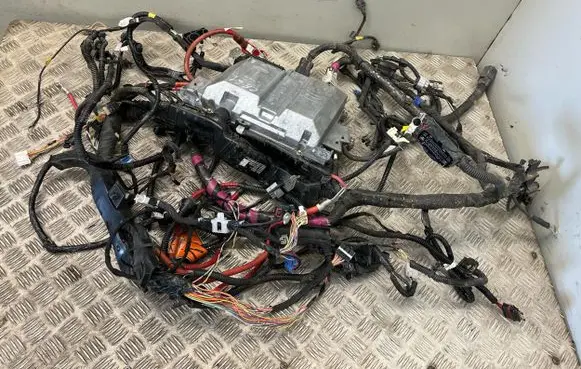 Tesla Model 3 Other control units/modules P111818204H 110033400D