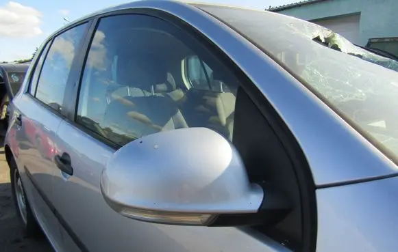Volkswagen Golf IV Manual wing mirror 