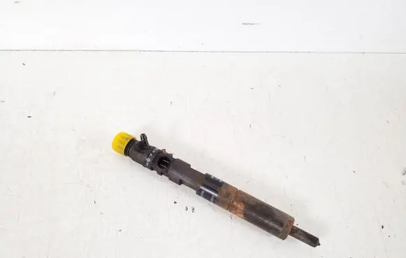Nissan NV200 Fuel injector 166001137R