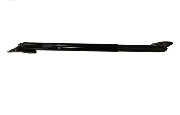 Tailgate/trunk strut/damper