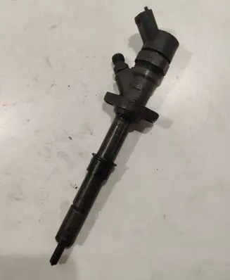Citroen C8 Fuel injector 9653344880 0445110036