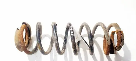 Rear coil spring