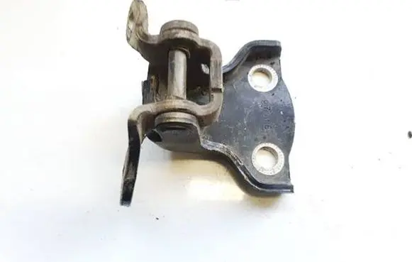 Chevrolet Captiva Rear door lower hinge