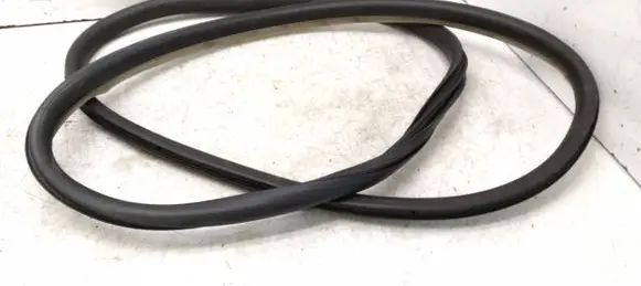 Renault Latitude (L70) Rear door rubber seal (on body) 